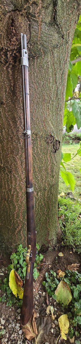 Mauser M 71