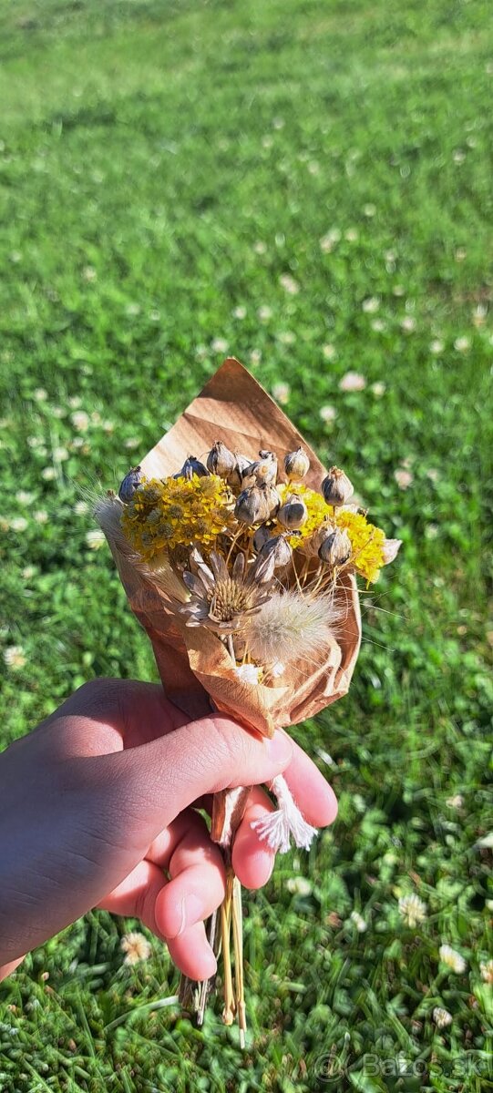 🌾Mala kytička žltá slamienka, zajačí chvost a lúčne kvety