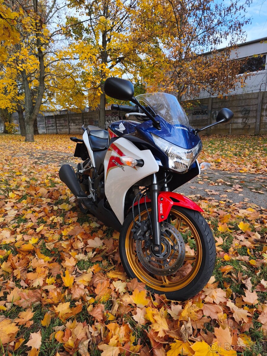 Honda CBR 250r