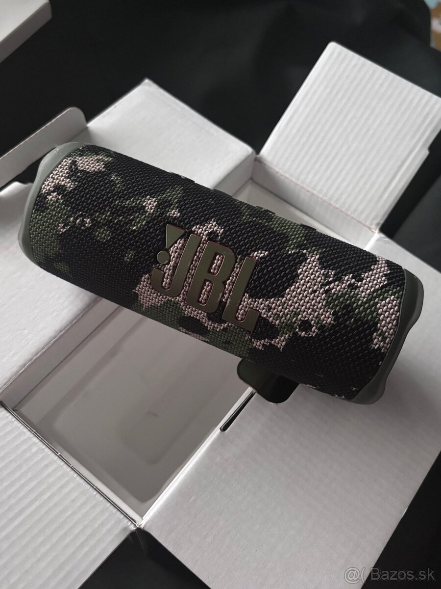 JBL Flip 6