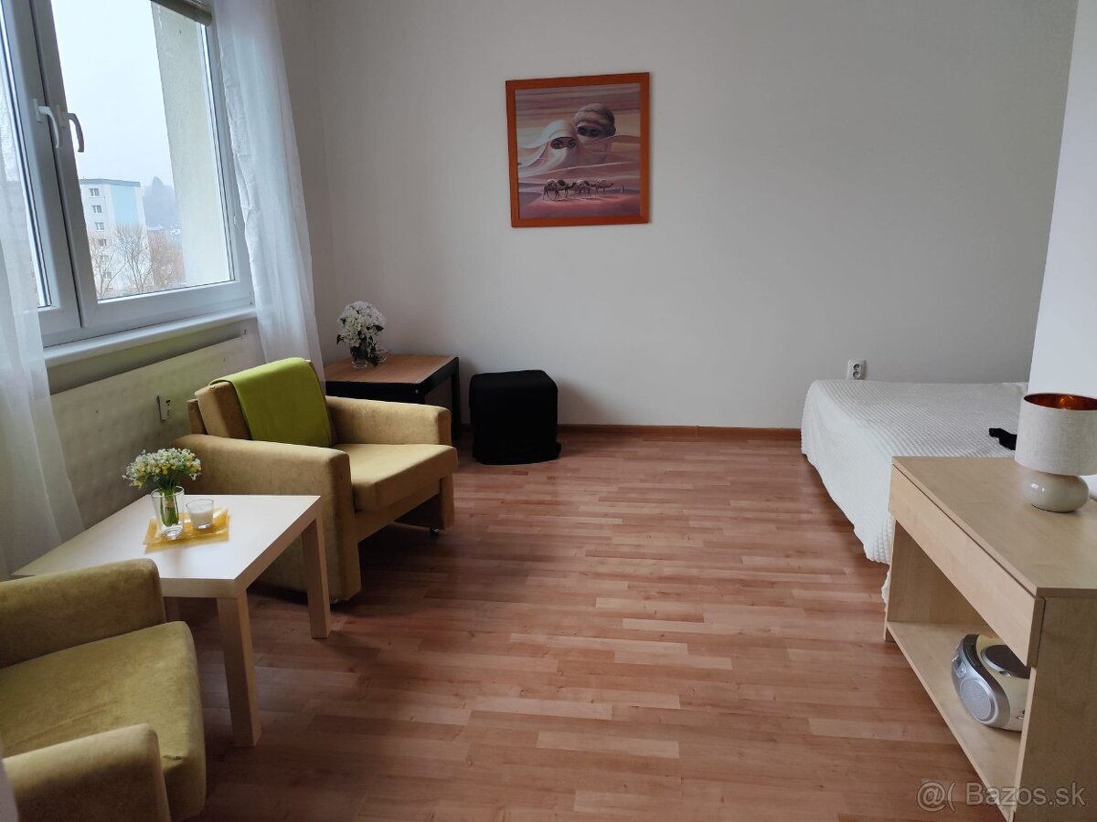 Prenajajmem 1 izbový byt