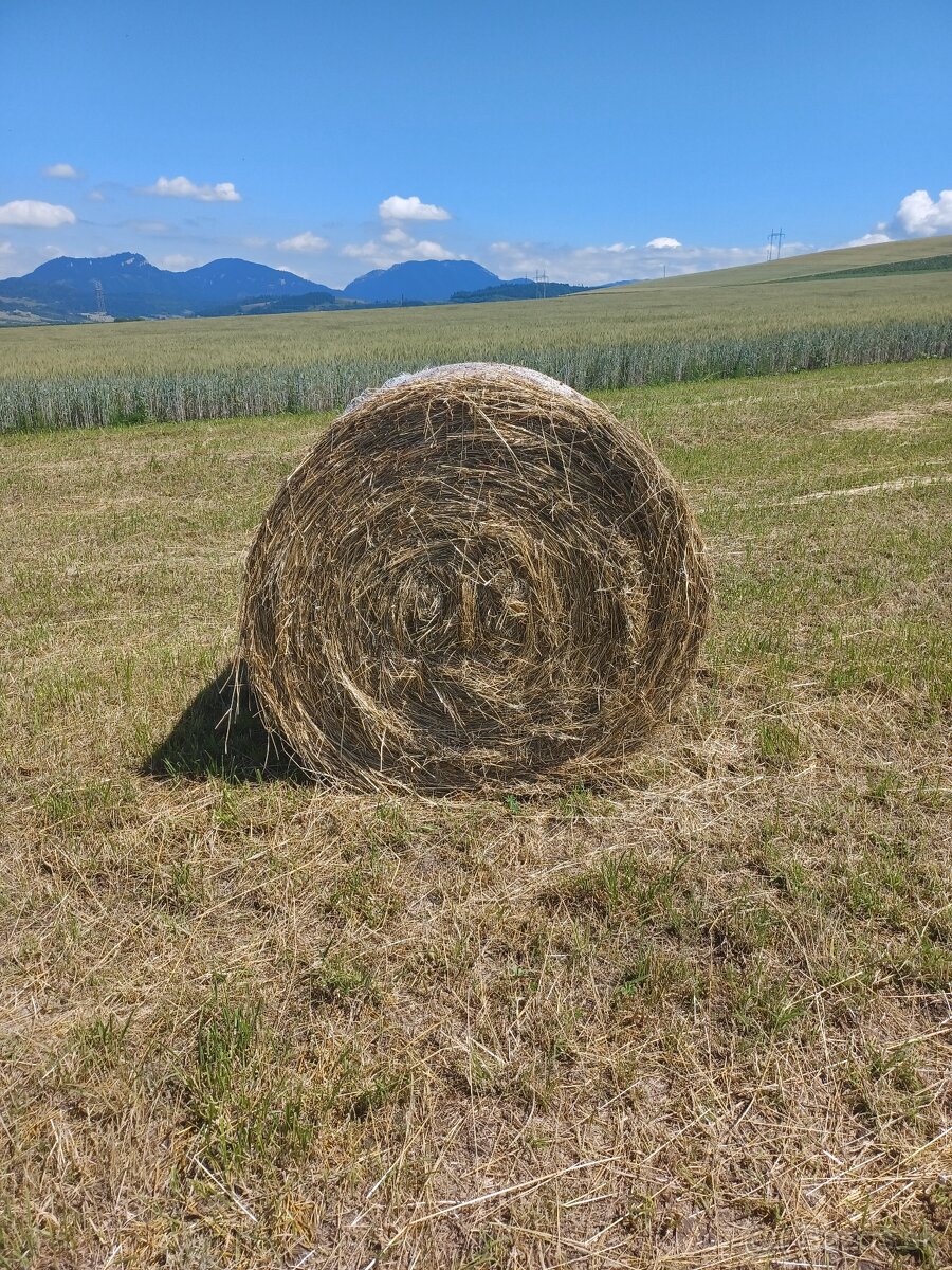 Lúčne  seno