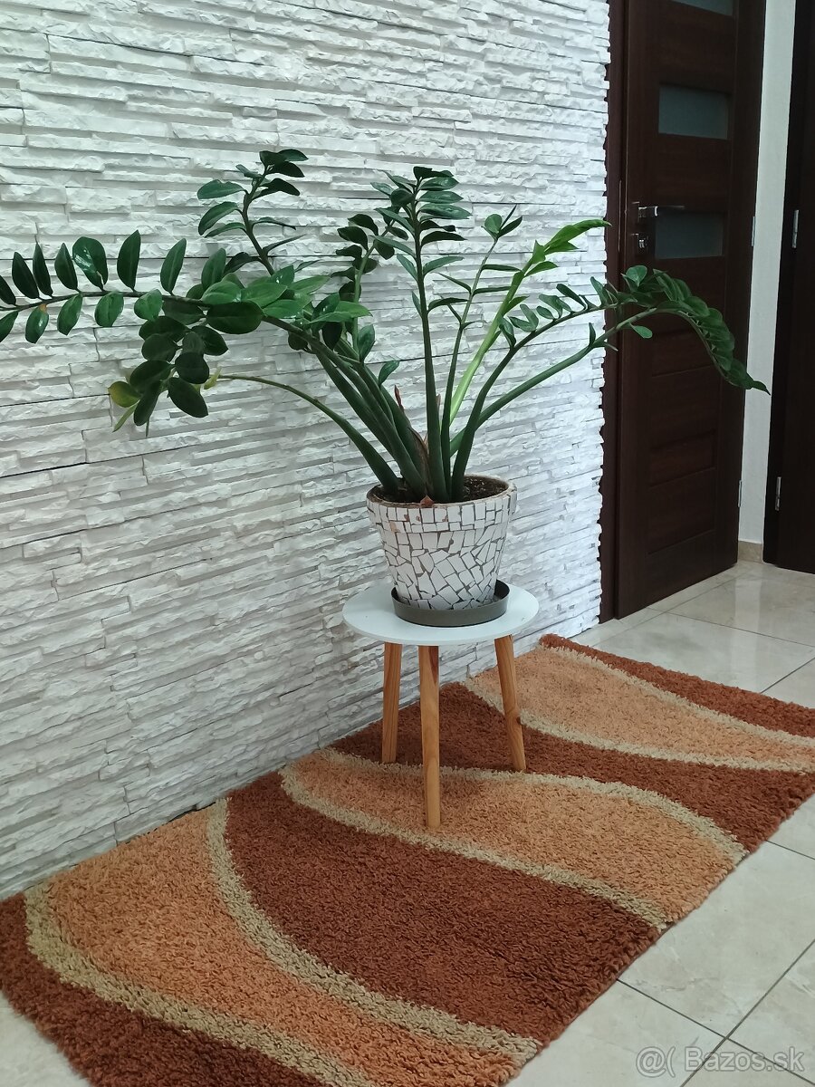 Koberec Shaggy-Hilal