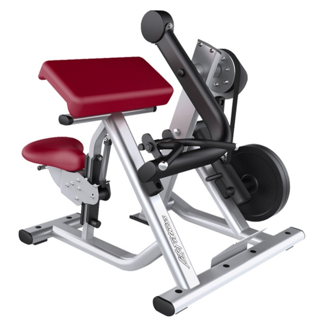 Life fitness -Plate Loaded Biceps Curl