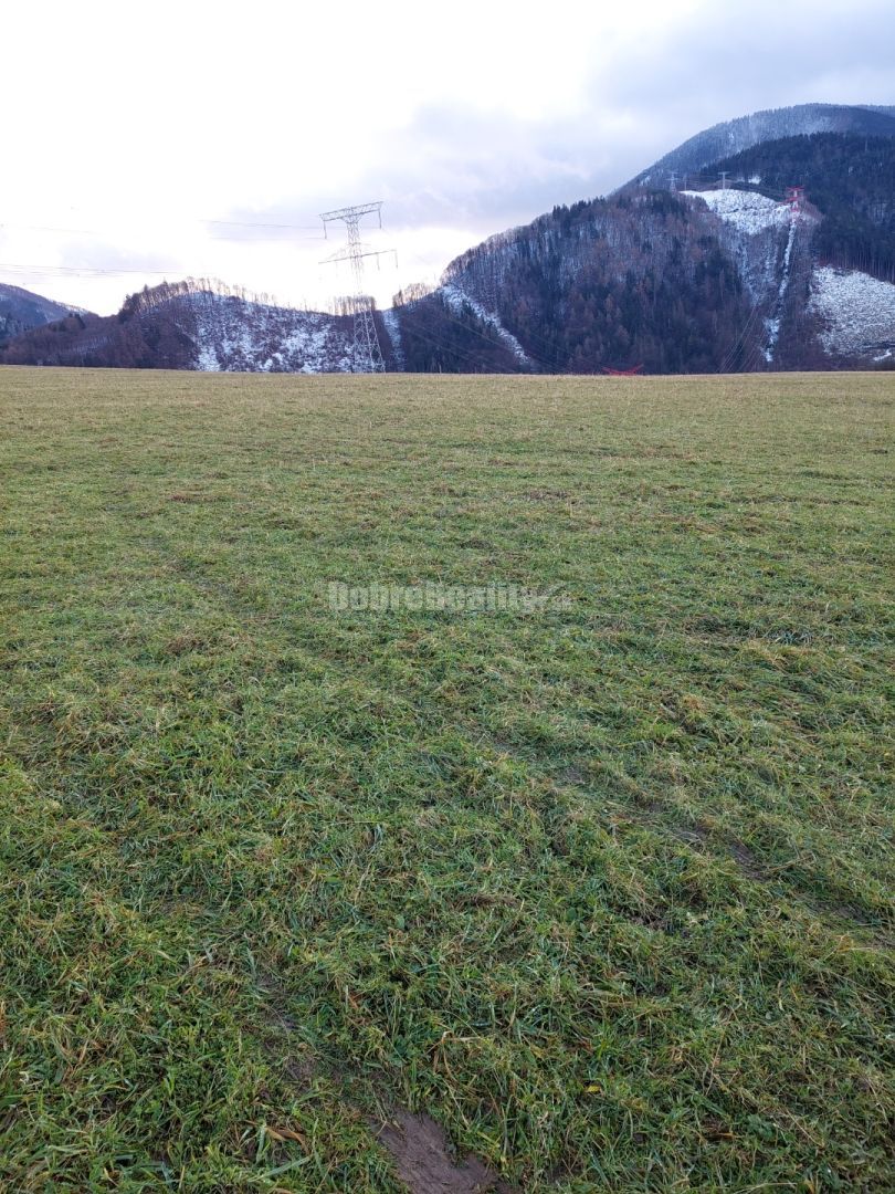 Pozemok-lúka Nezbud.Lúčka