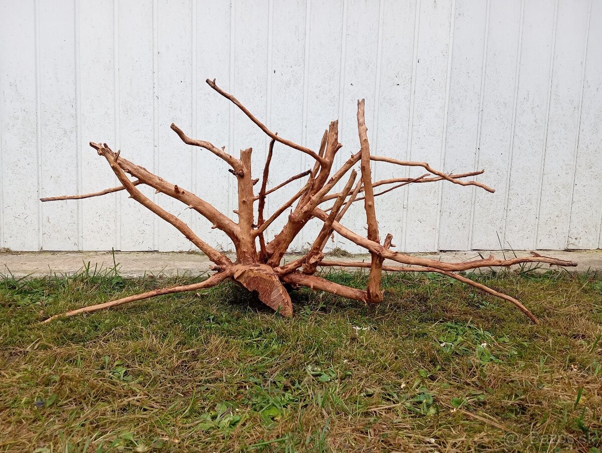 predam mohutny koren / samorast do akvaria