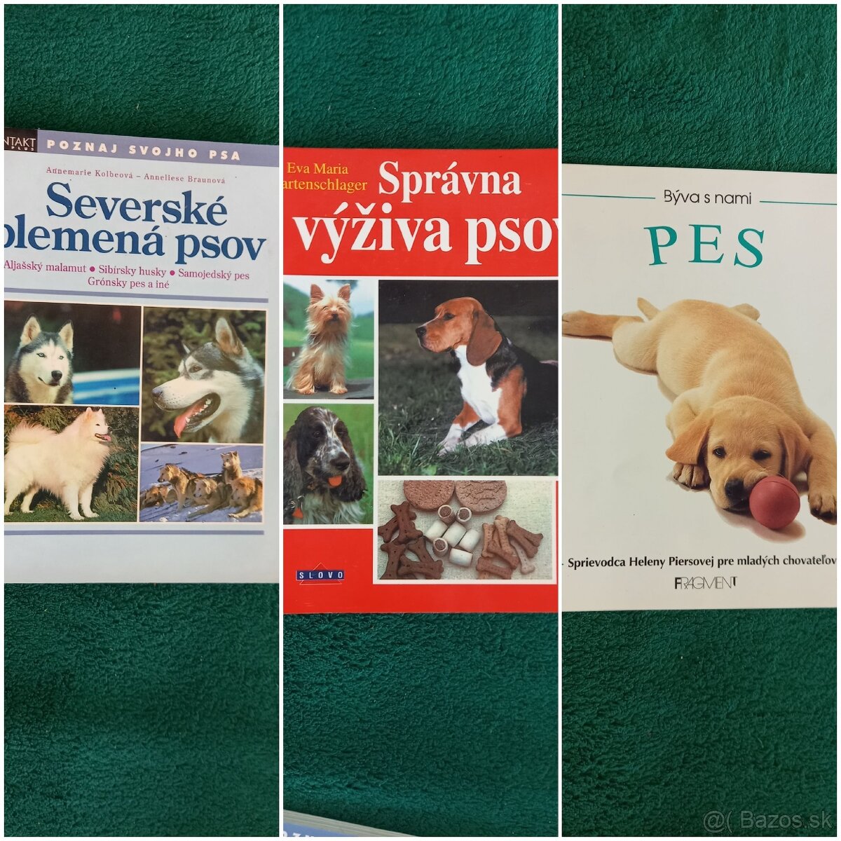 Severské plemená psov, Správna výživa, Pes