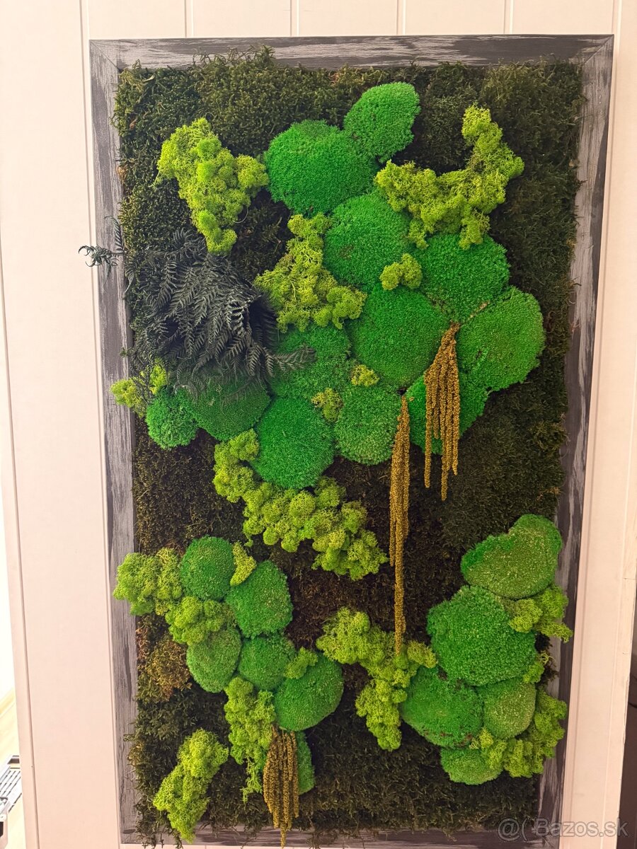 Machový obraz 70X120