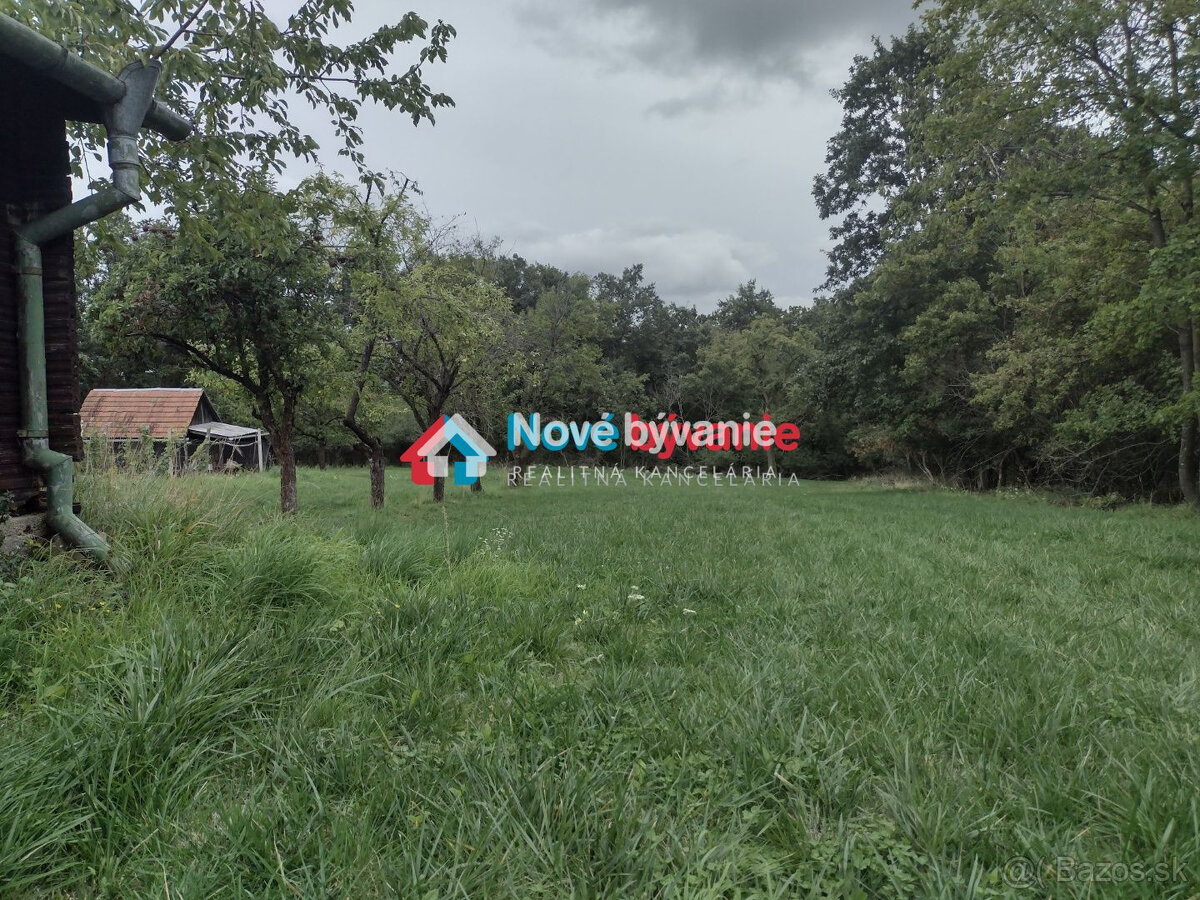 Predaj, rekreačný pozemok-Kozárovce/Staré vinice