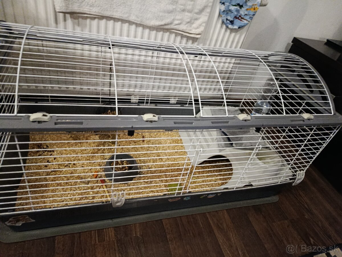 Morské prasa aj s klietkou