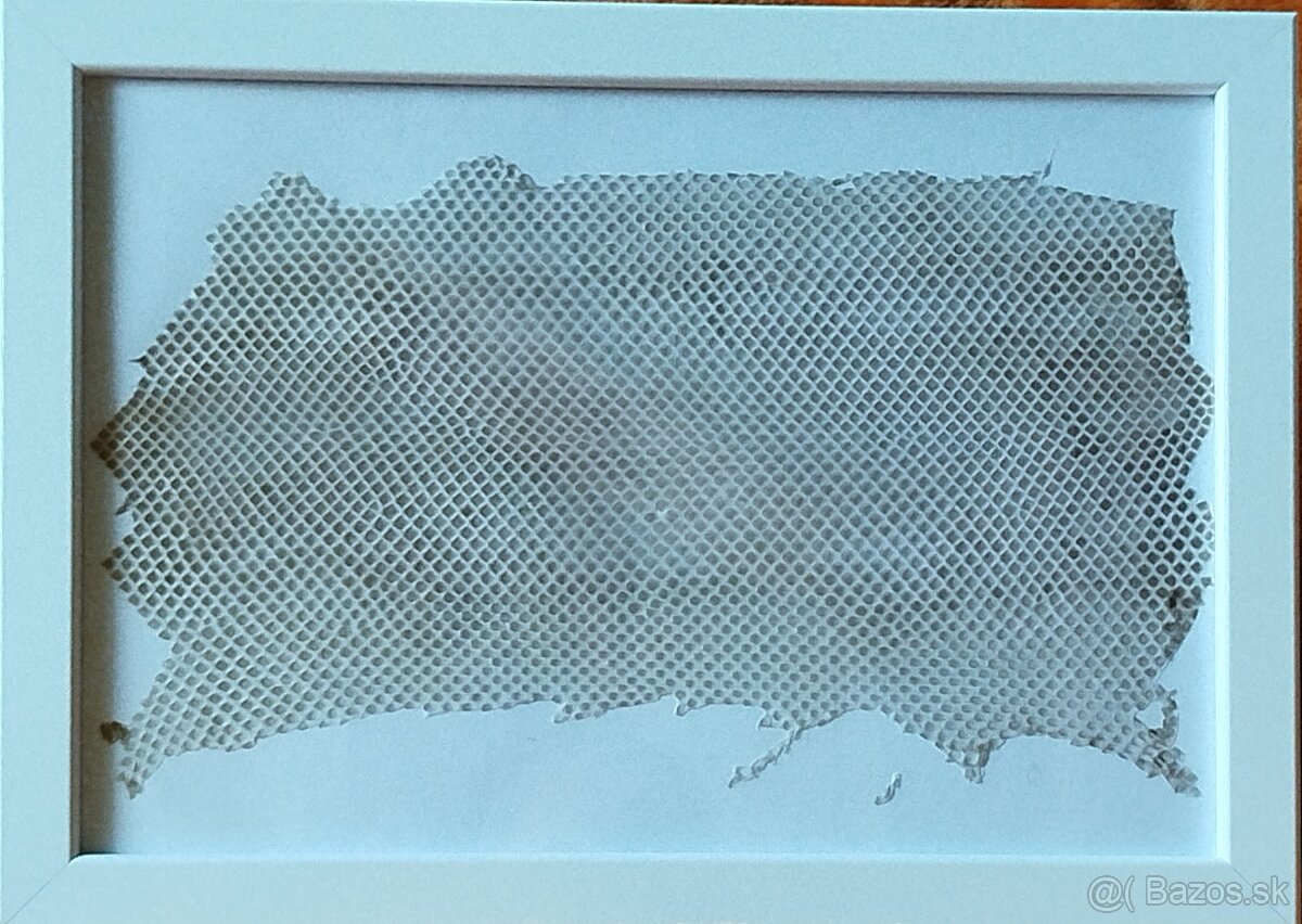 Zvlek hadej kože v rámiku.