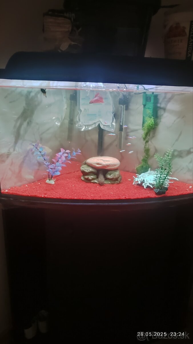 Predám rohové akvárium s objemom 120 litrov a stojanom.