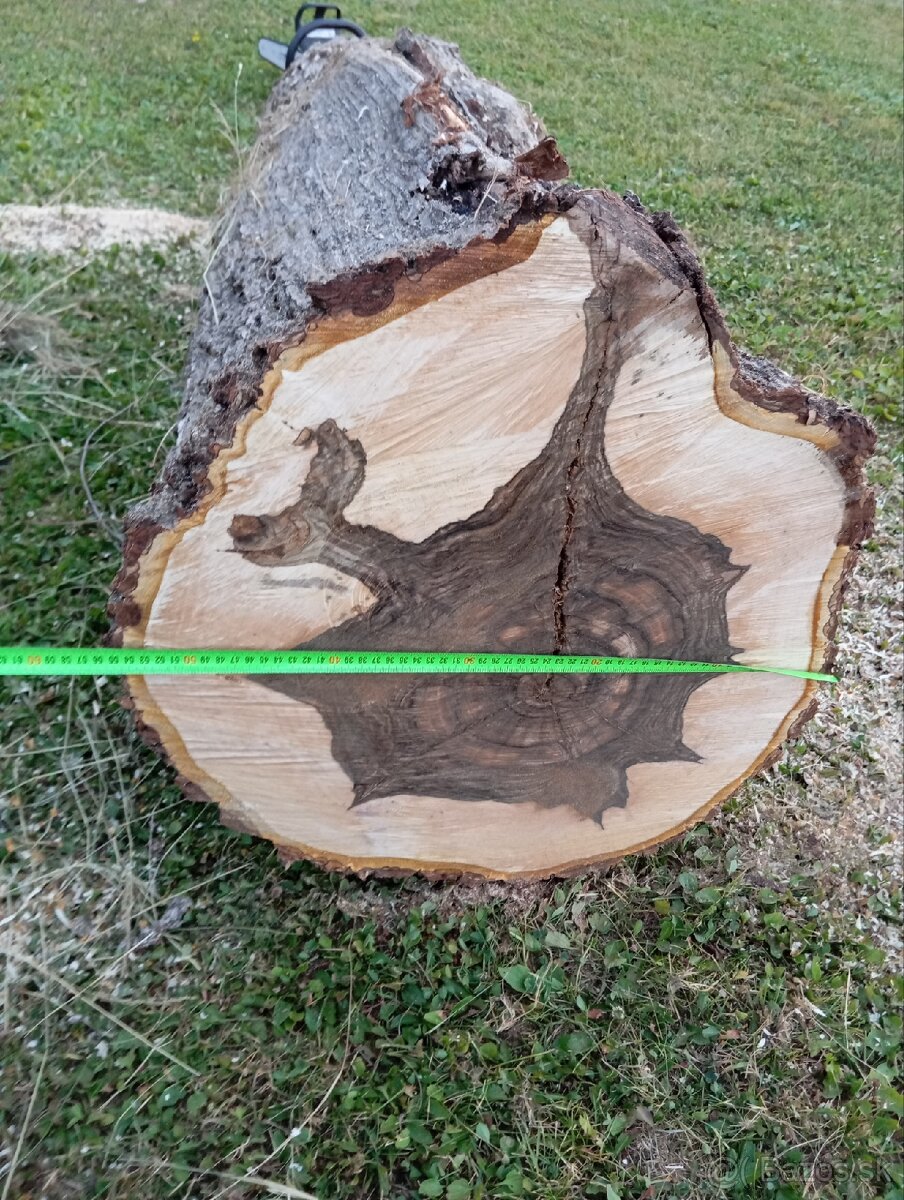 Predám orech, orechové drevo
