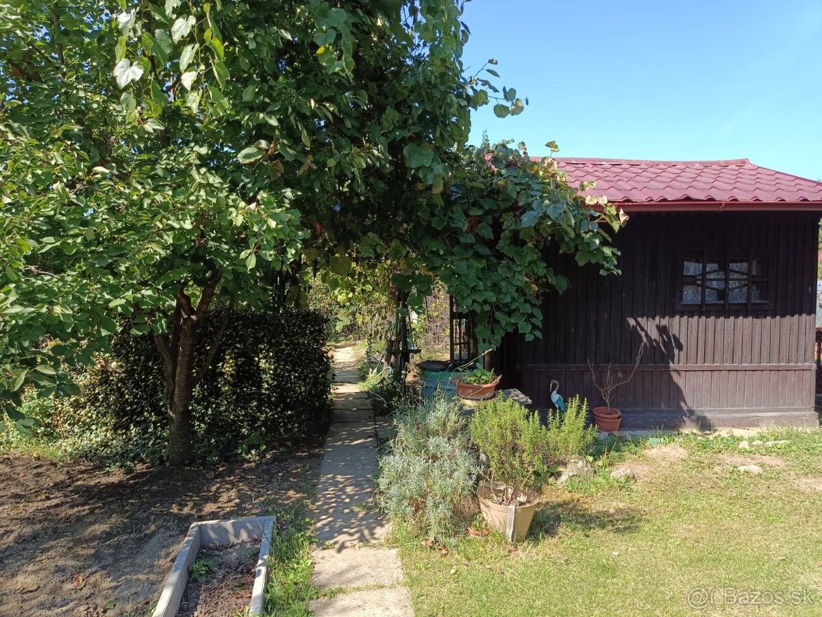 Zahrada v zahradkarskej osade v Sali