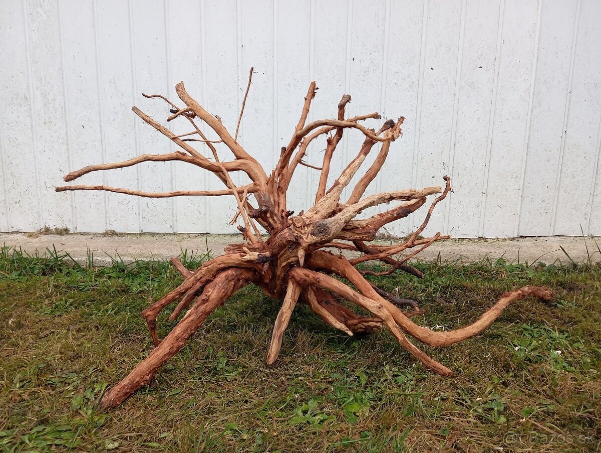 predam mohutny koren / samorast do akvaria