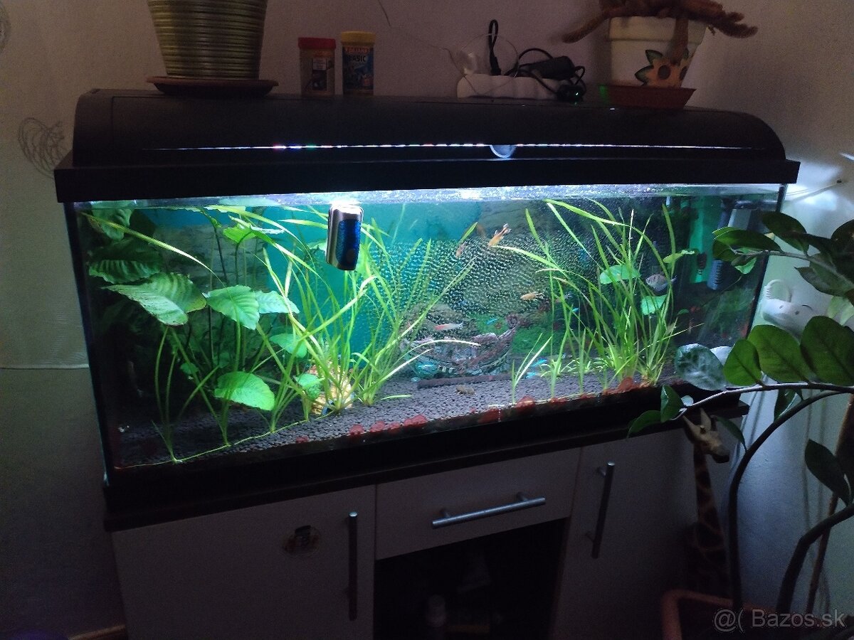 Predám zabehnute akvárium