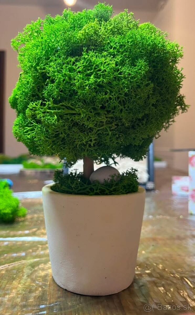 Machový dekoratívny stromček