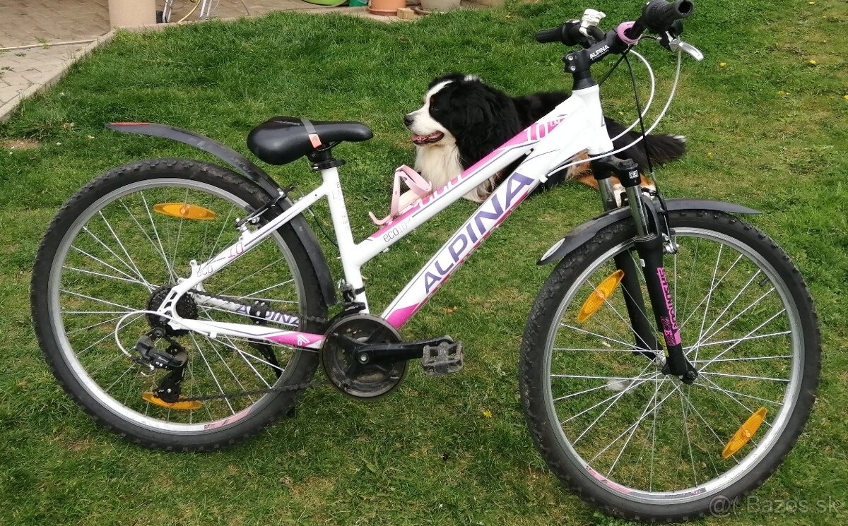 Dámsky, dievčenský bicykel ALPINA S ram