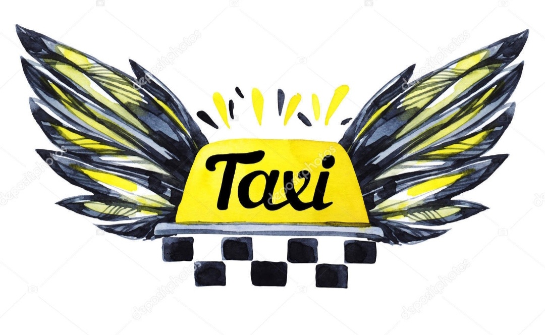 Vodič taxi