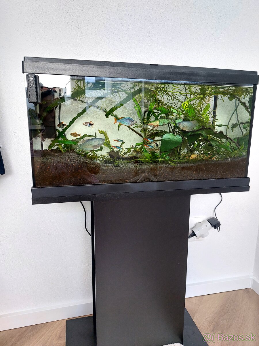 Akvarium na stojane