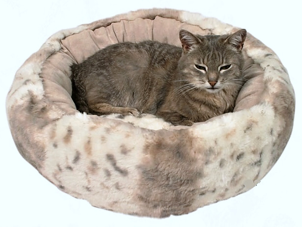 Odpočívadlo pre malé zvieratá