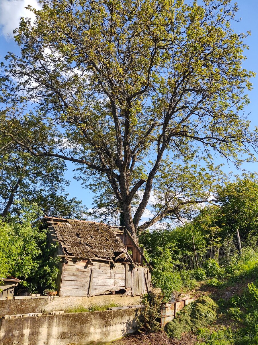 Hrady, dosky stare