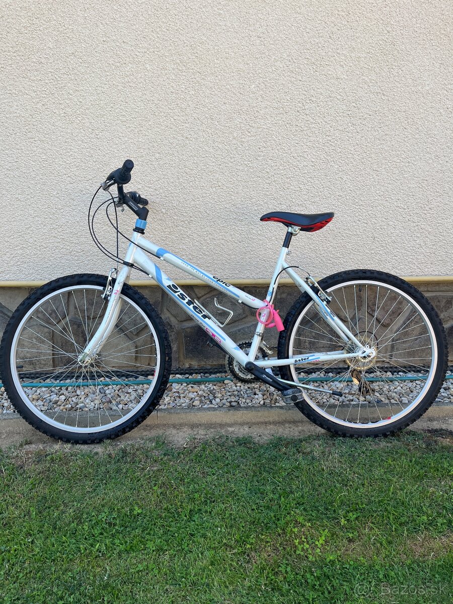 Bicykel Ister