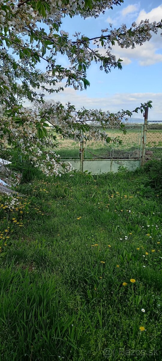 Predaj pozemku v Komárovciach