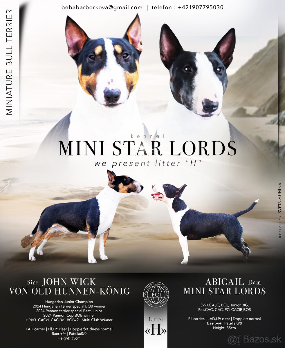 Miniatúrny bulteriér, minibulterier , minibull - šteniatka