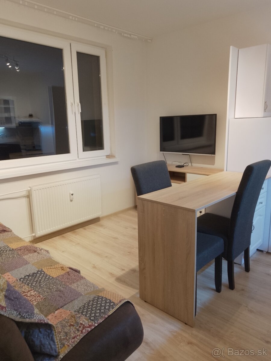 1 izbový byt na prenajom v Leviciach