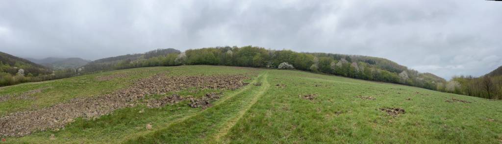 Ponúkam 11ha uceleného lesného pozemku s lúkami