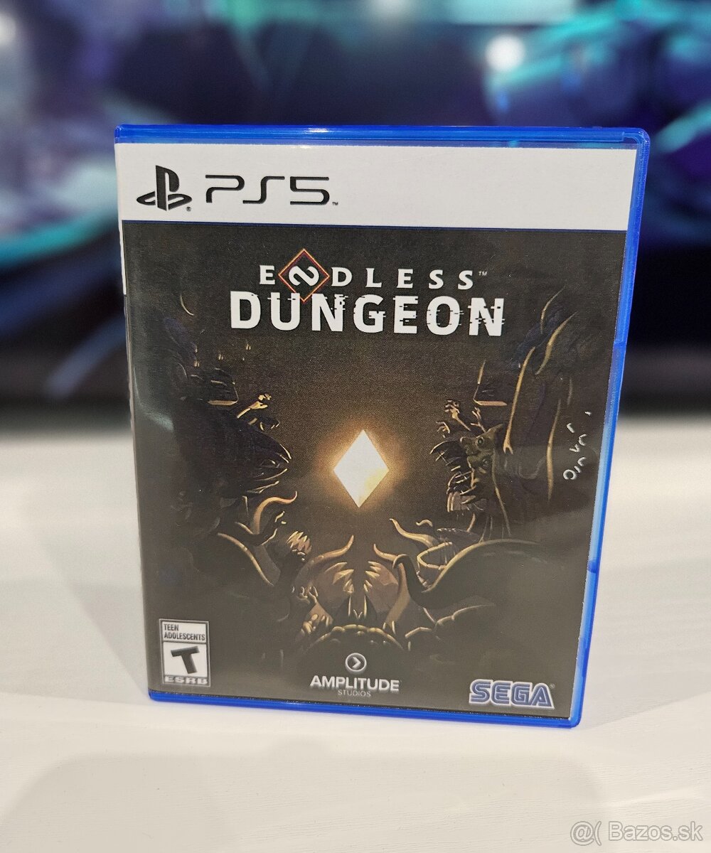 Endless Dungeon PS5