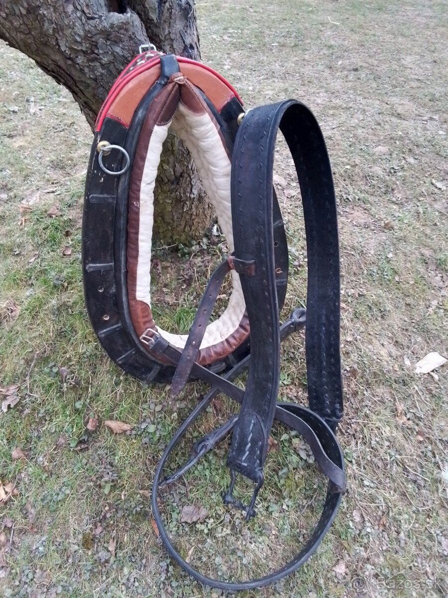 Chomút + bočniky
