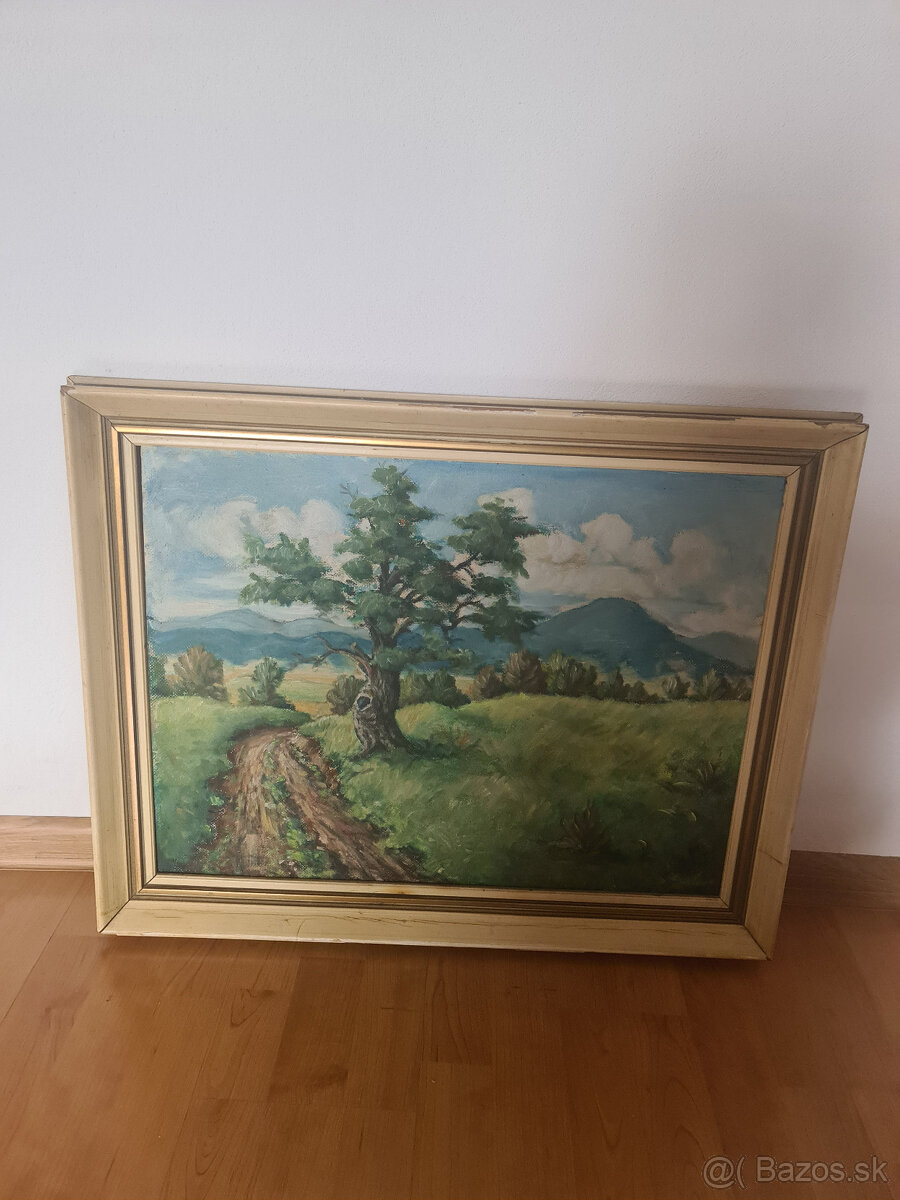 Obraz s krajinou