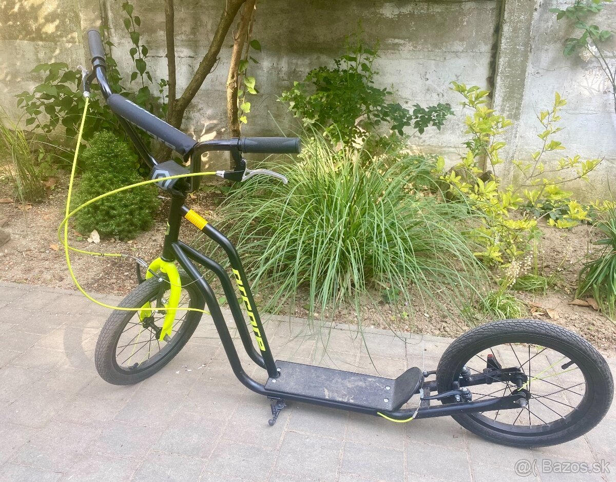 Športova kolobežka