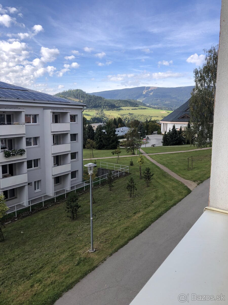 Prenájom (1-izbový byt) Dolný Kubín, časť Brezovec