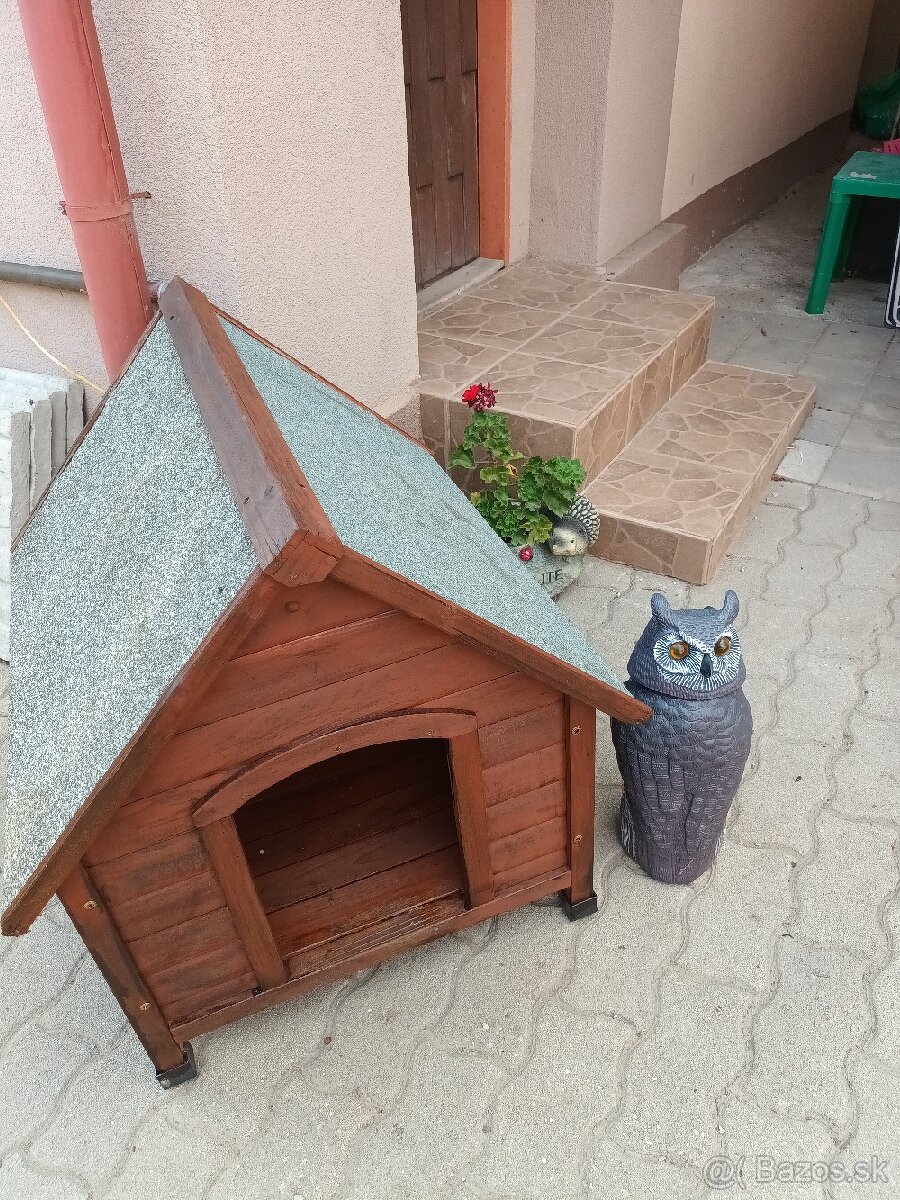Psia búda