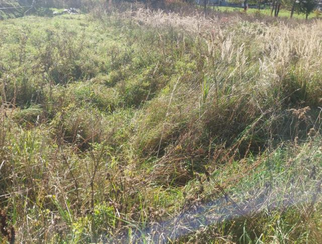 PREDAJ STAVEBNÝ POZEMOK LYSICA