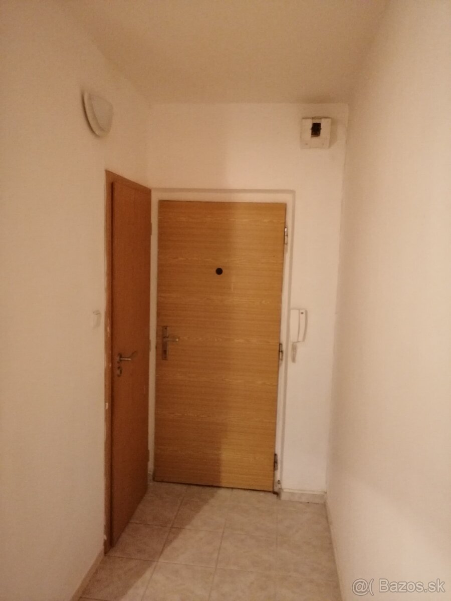 Prenajmem 1 izbový byt