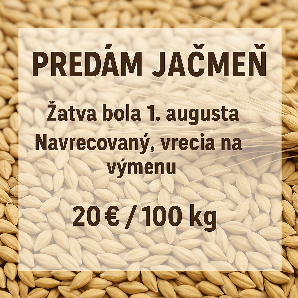 Jačmen jarny 2025
