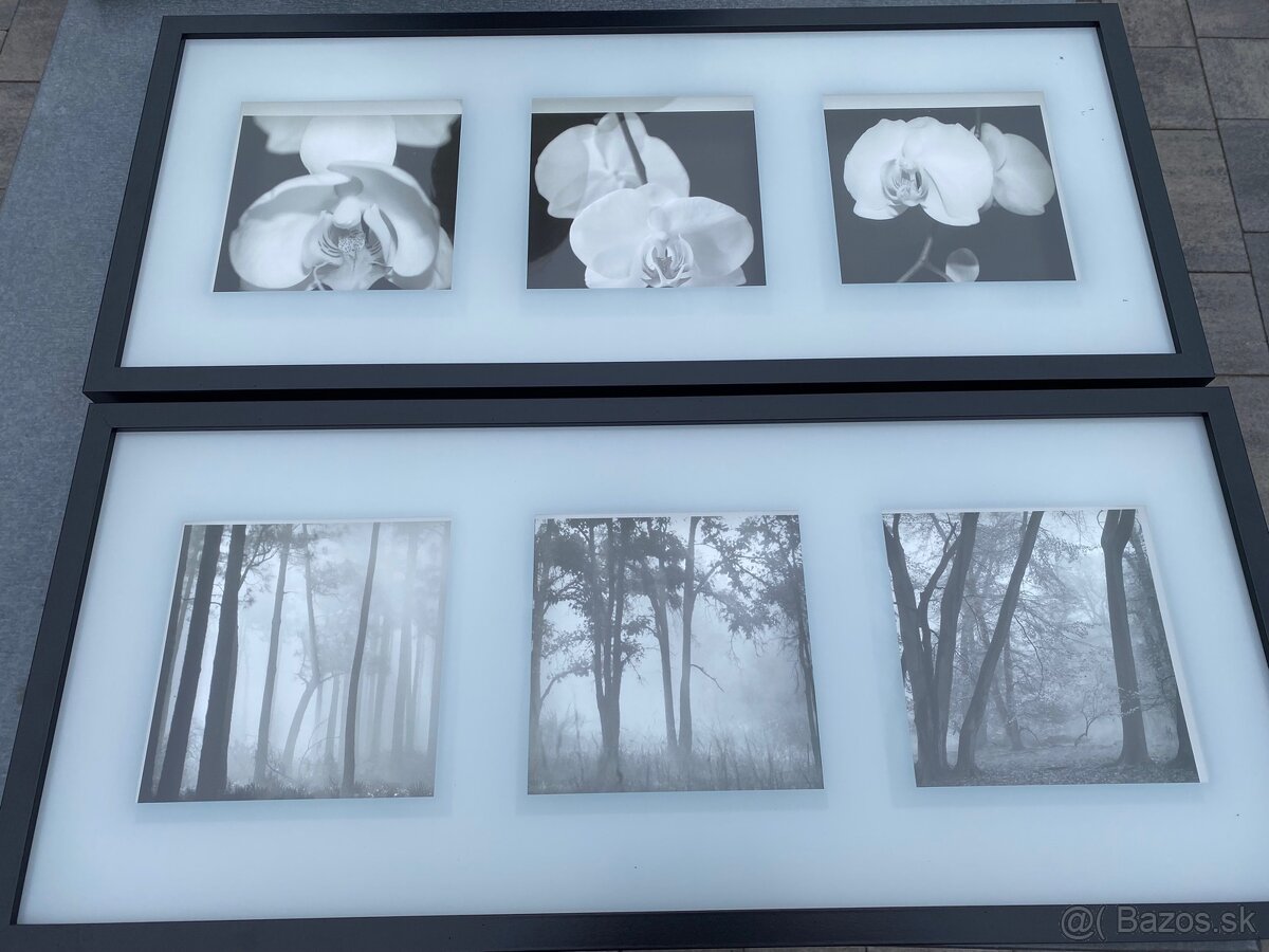 Predám modernejšie obrazy