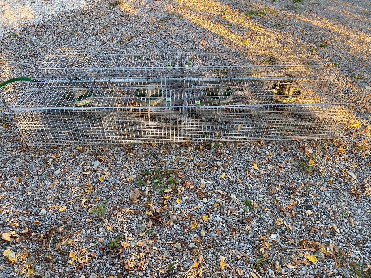 Klietka pre králiky