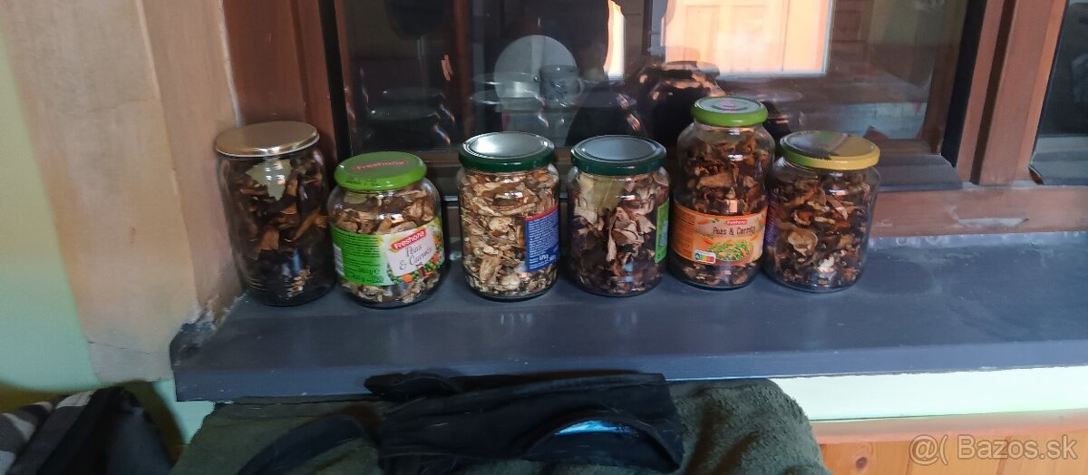 Ponúkam sušené hríby, Dubáky