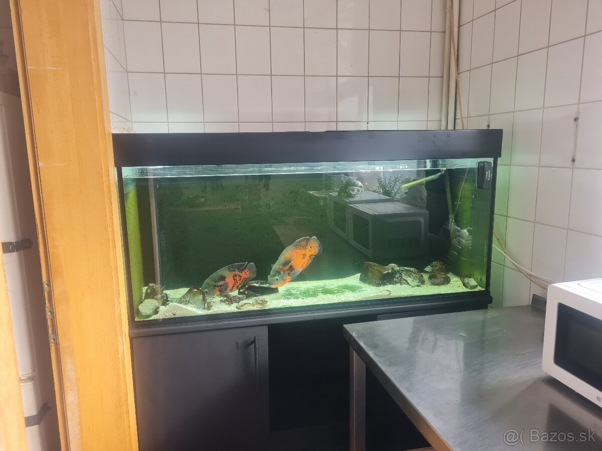 Predam akvarium 130x40x50