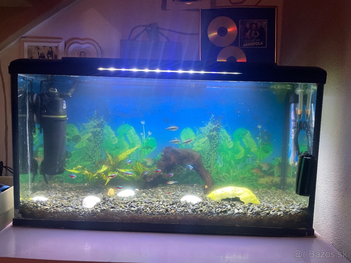 Akvárium s príslušenstvom a rybičkami