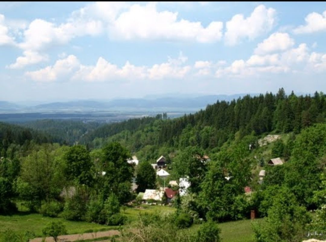 Na predaj pozemok na chatu alebo rodinný dom