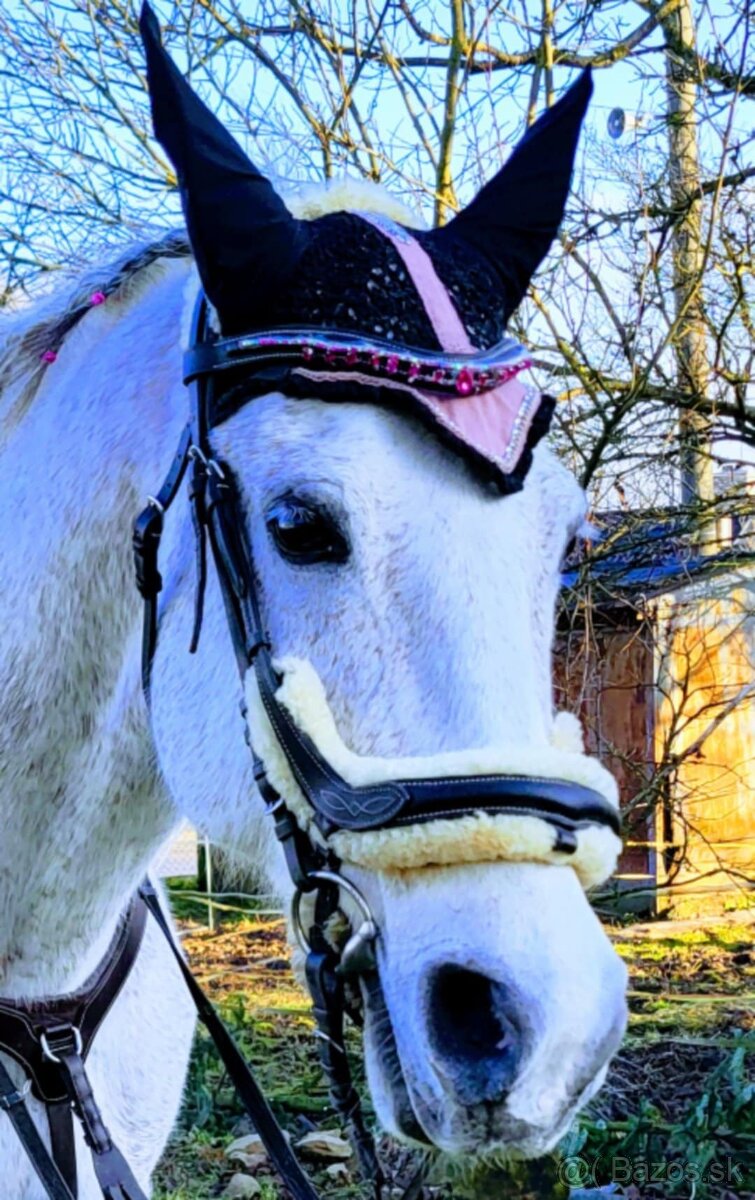 Predám uzdu kavalkade s otazami veľkosť cob