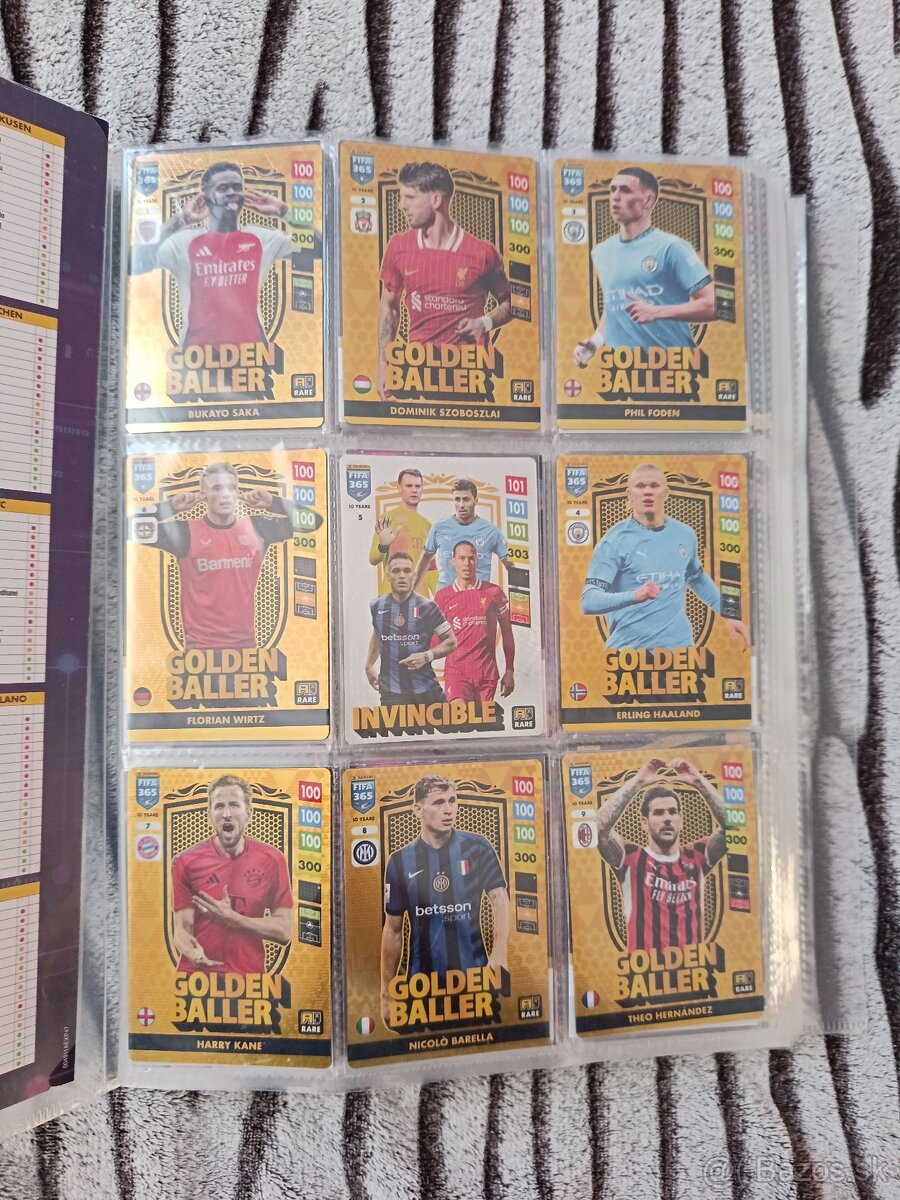 Album FIFA 365 2024/2025