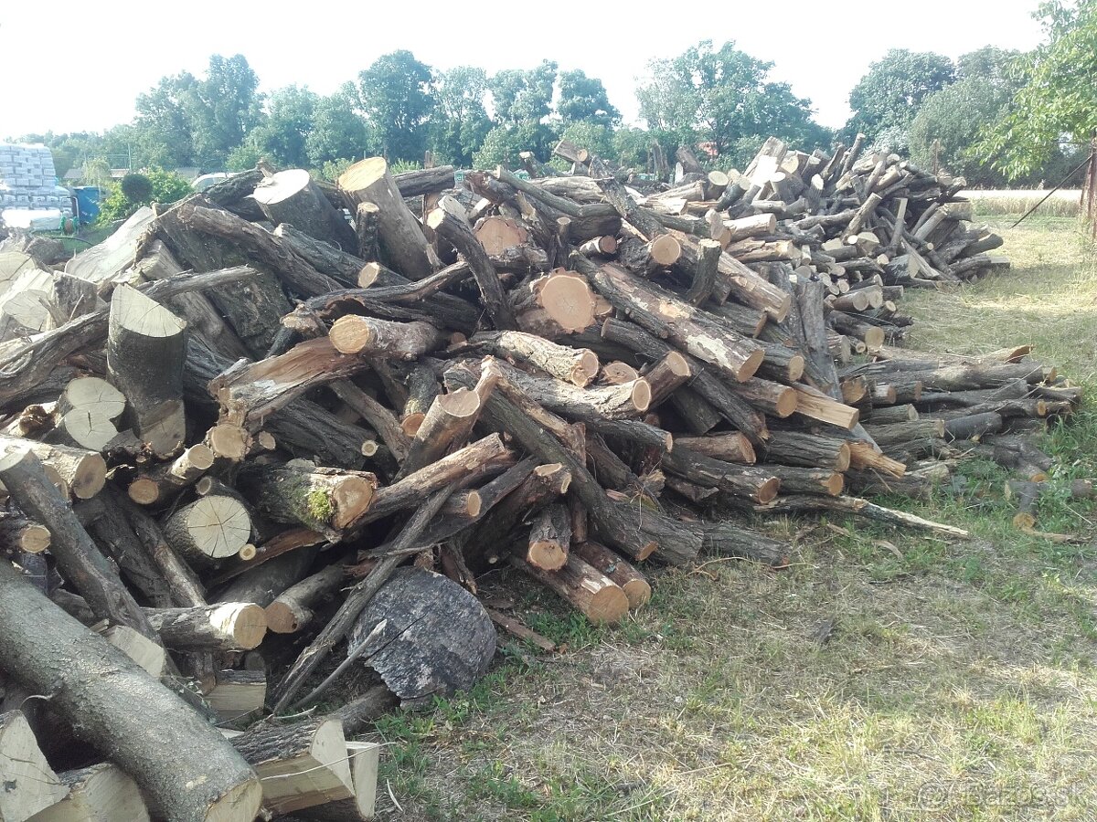 Predám tvrdé palivové drevo agát metrovica