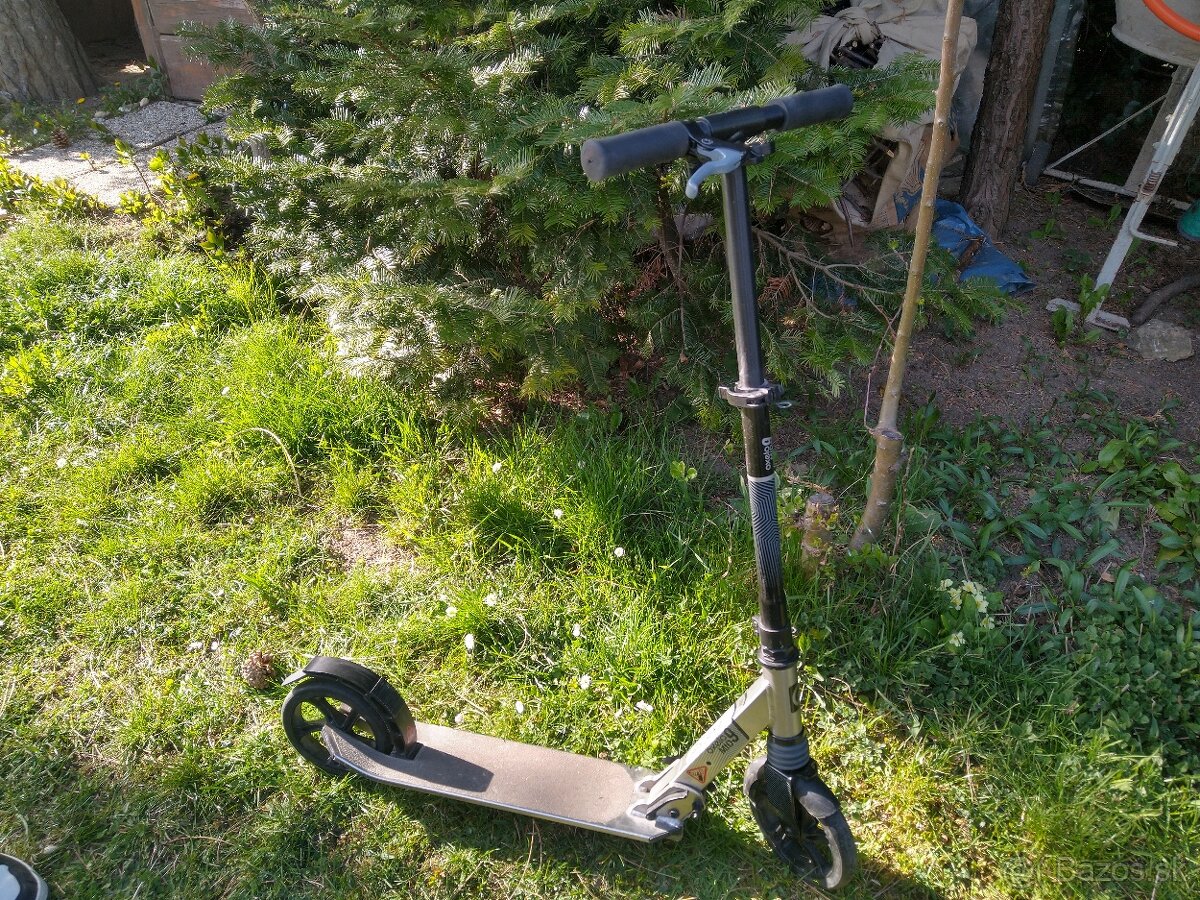 Kolobežka Oxelo